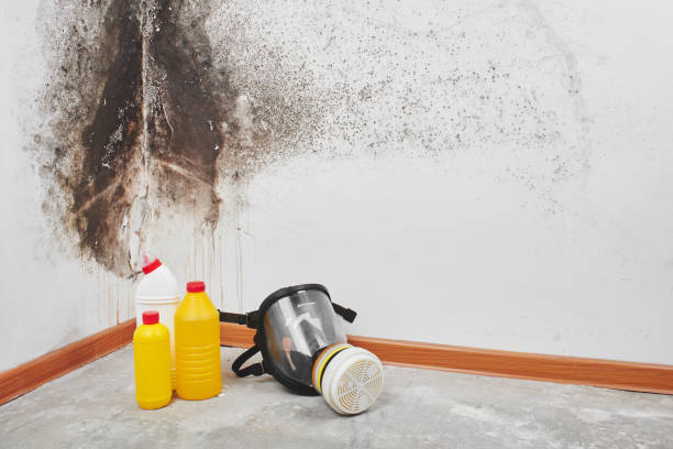 Crawl Space Mold Removal in Breaux Bridge, LA