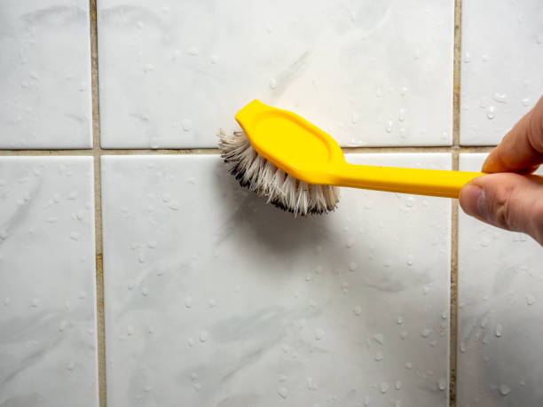 Trusted Breaux Bridge, LA Mold Removal Experts