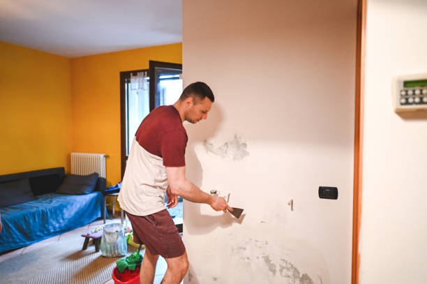 Best Best Mold Removal Companies  in Breaux Bridge, LA