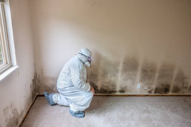 Best Crawl Space Mold Removal  in Breaux Bridge, LA