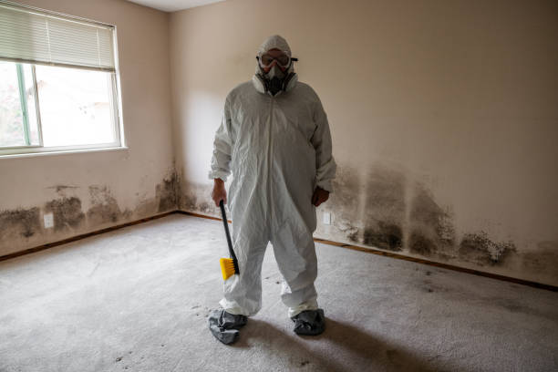 Best Emergency Mold Removal  in Breaux Bridge, LA